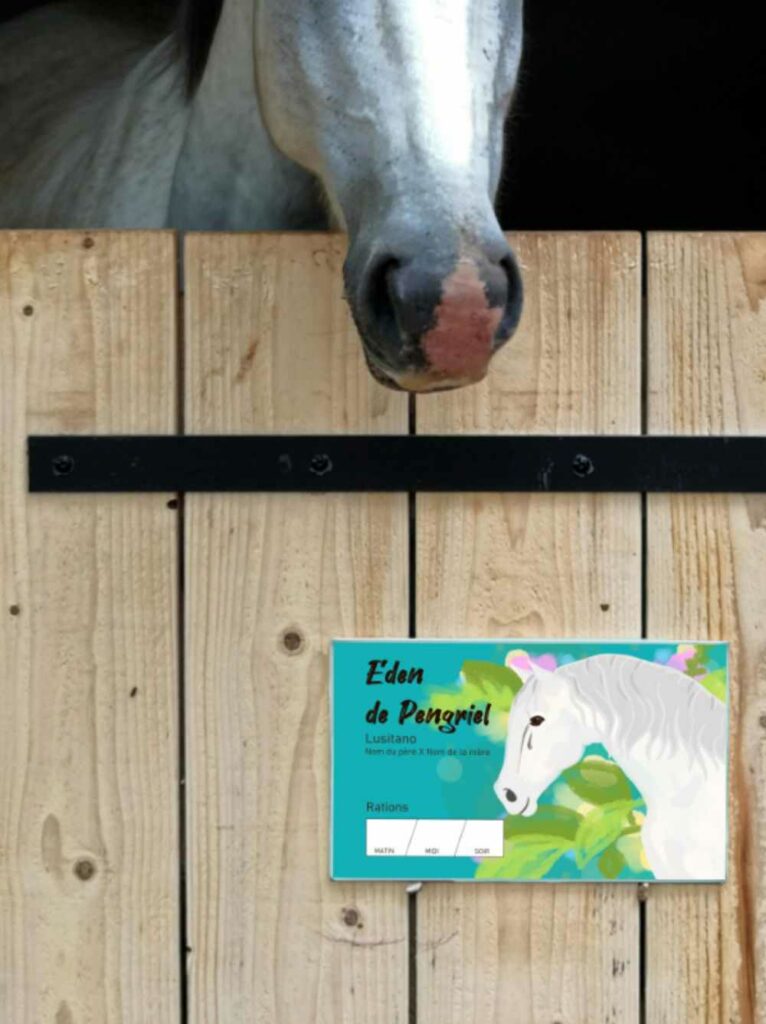 plaque de box personnalisée pour cheval de propriétaire ou centre équestres